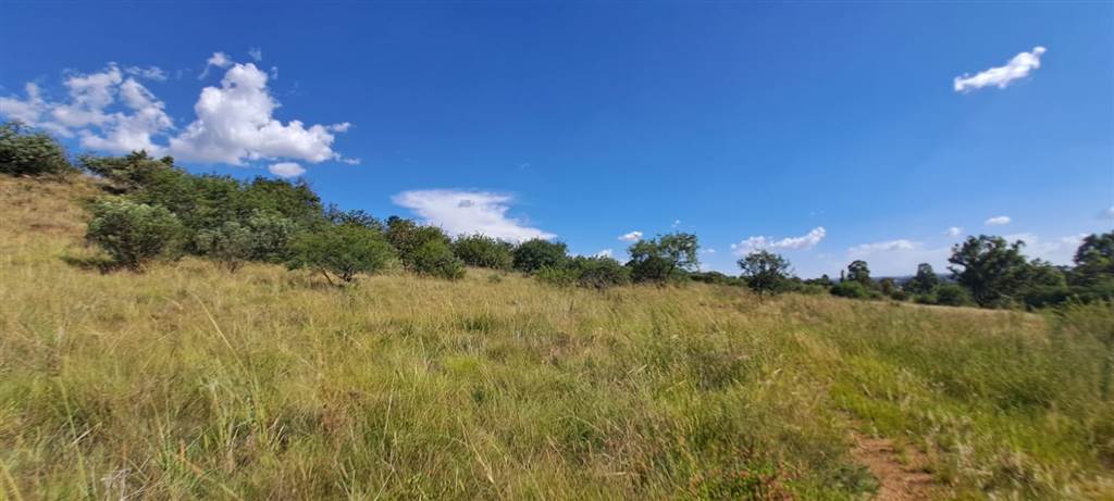 5.8 ha Land available in Vyfhoek photo number 5