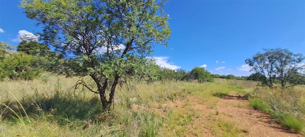 5.8 ha Land available in Vyfhoek photo number 9