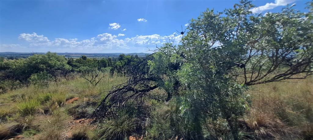 5.8 ha Land available in Vyfhoek photo number 11