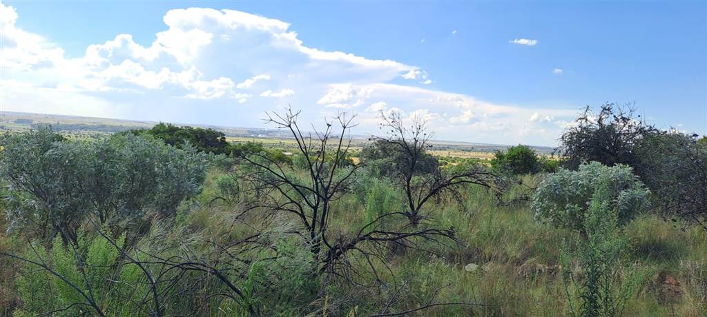 5.8 ha Land available in Vyfhoek photo number 17