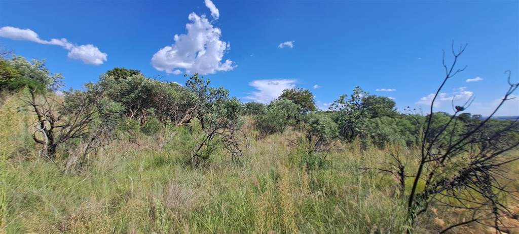5.8 ha Land available in Vyfhoek photo number 12