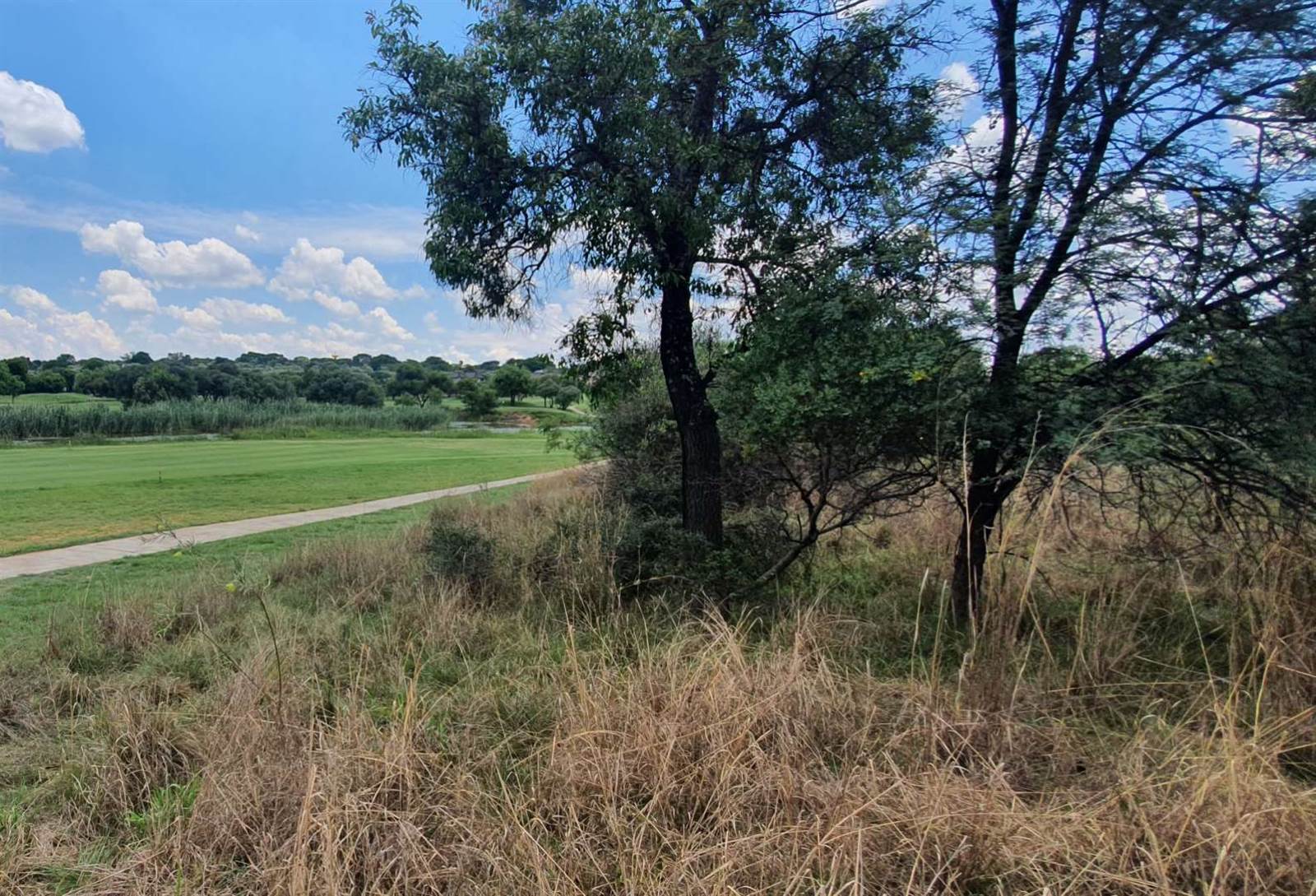 1200 m² Land available in Koro Creek Golf Estate photo number 10