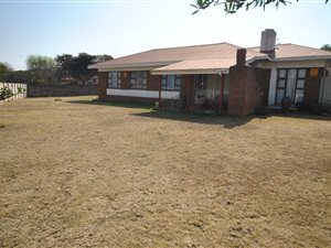 4 Bed House in Pioneer Park