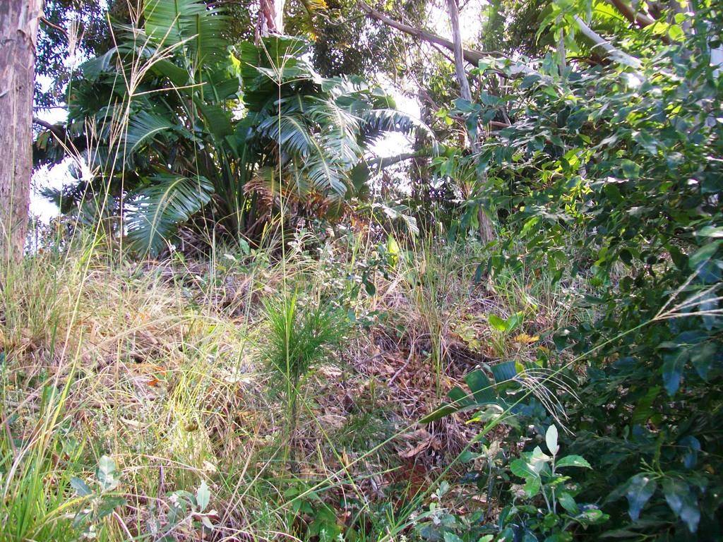 1573 m² Land available in Trafalgar photo number 2