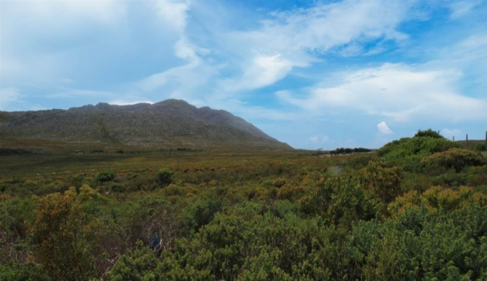 620 m² Land available in Pringle Bay photo number 12