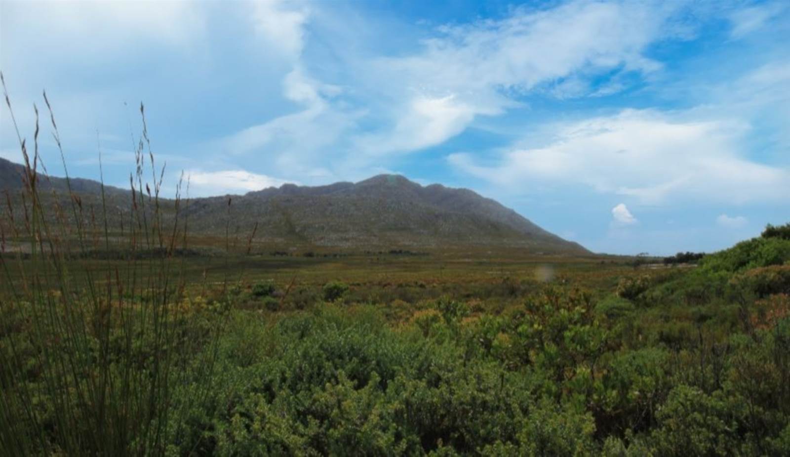 620 m² Land available in Pringle Bay photo number 11