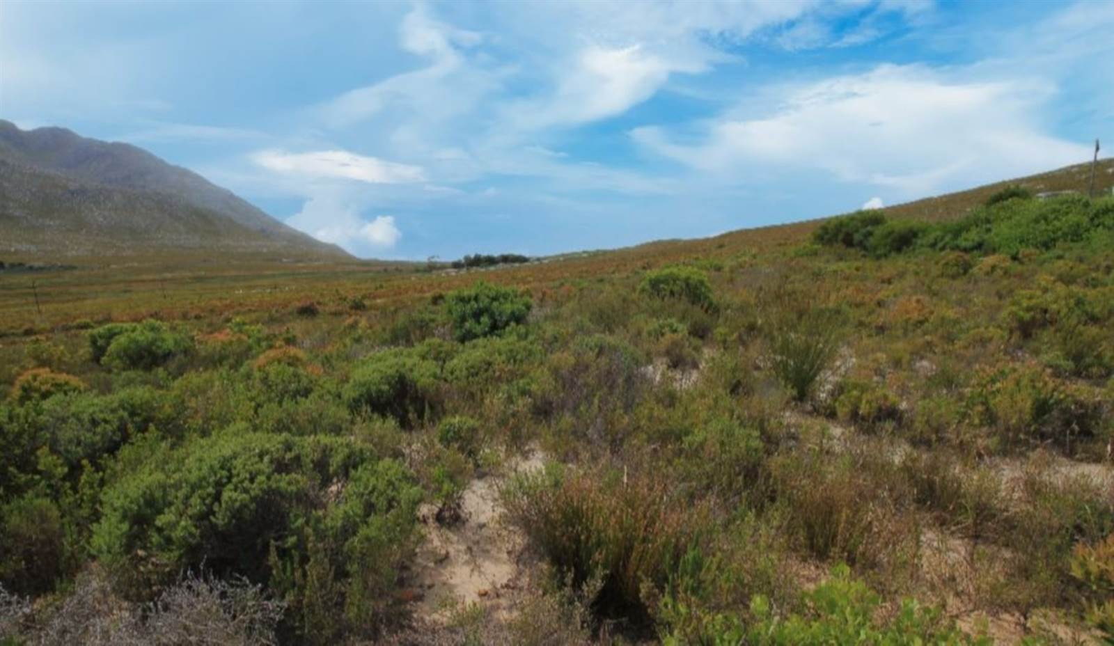 620 m² Land available in Pringle Bay photo number 10