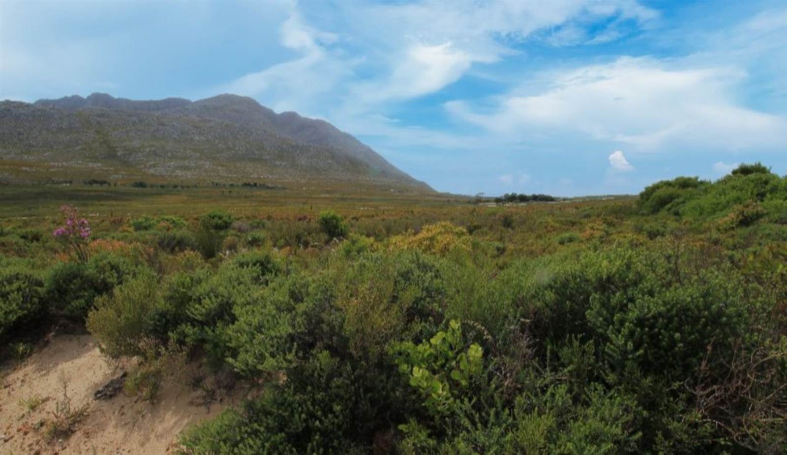 620 m² Land available in Pringle Bay photo number 2