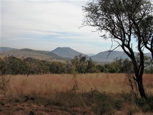 21.4 ha Land available in Hennops River