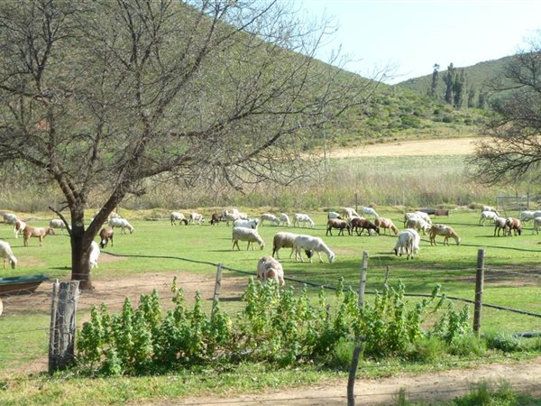 53 ha Farm 53 ha Farm