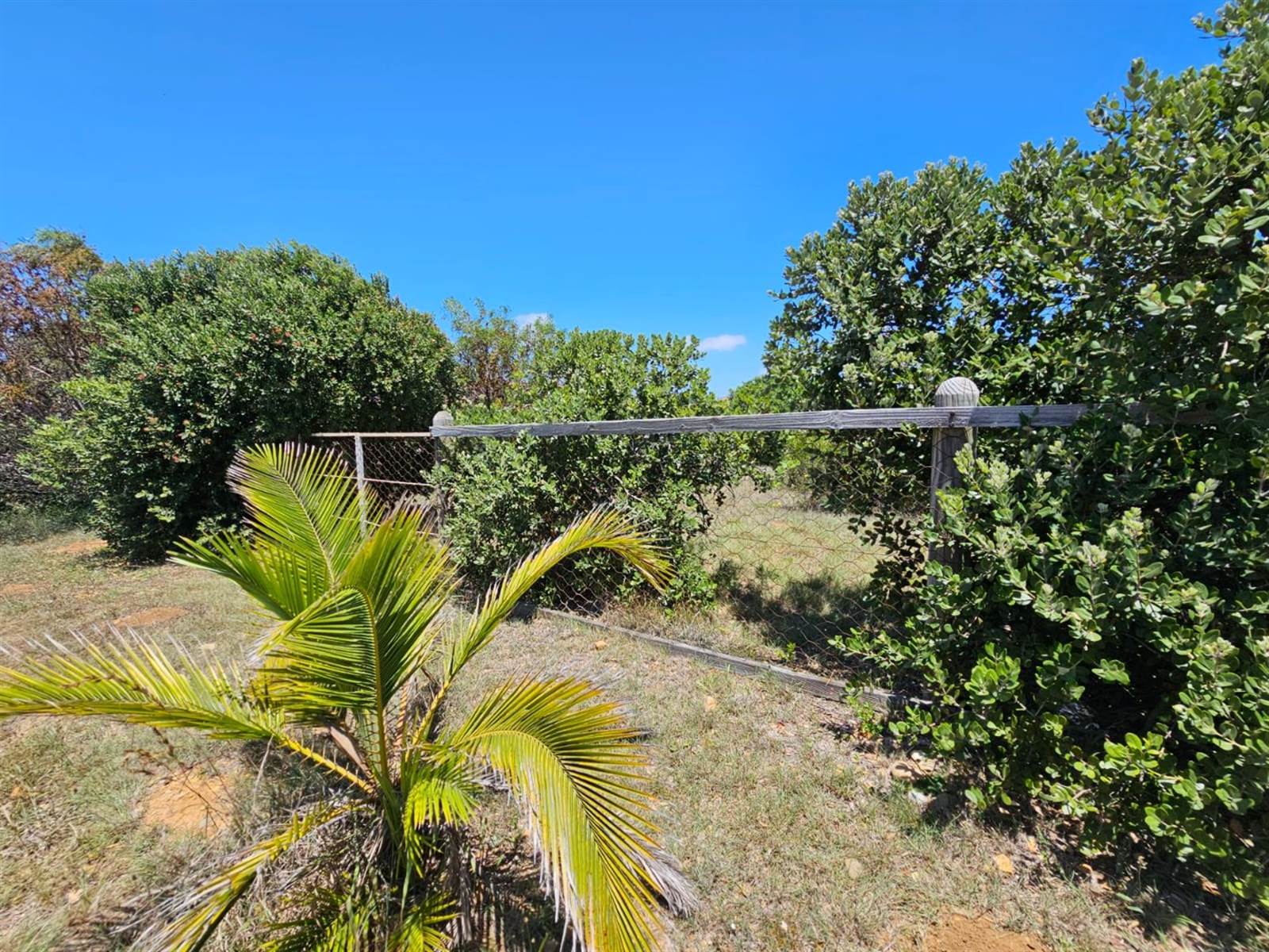 857 m² Land available in Jeffreys Bay photo number 5