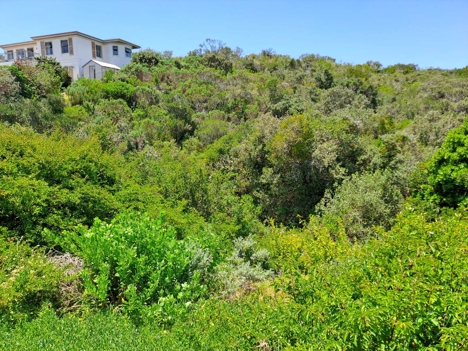 1090 m² Land available in Cola Beach photo number 11