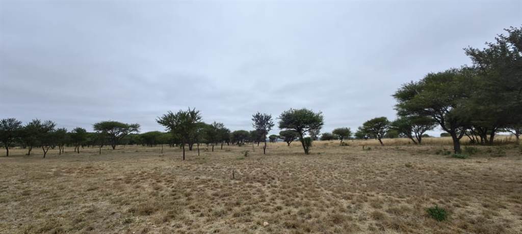 23 m² Farm in Polokwane Central photo number 6