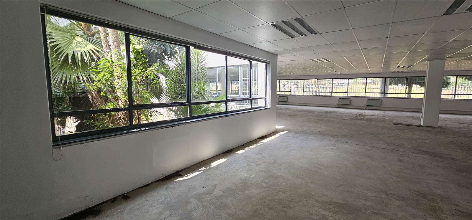 1289  m² Commercial space in Bedfordview photo number 9