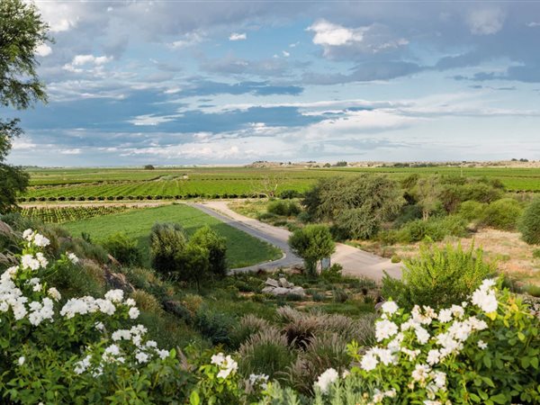 45 ha Farm