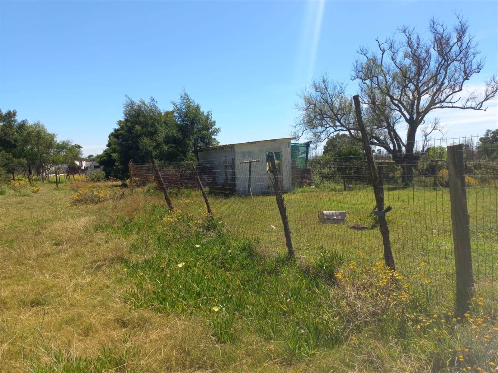 21.4 ha Farm in Port Elizabeth Central photo number 28
