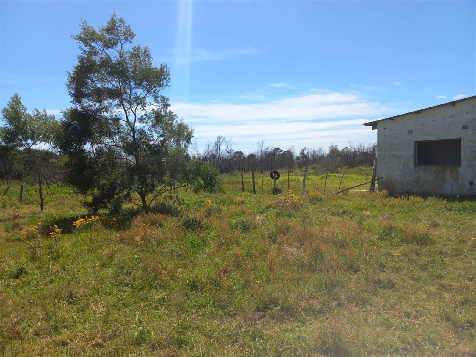 21.4 ha Farm in Port Elizabeth Central photo number 20