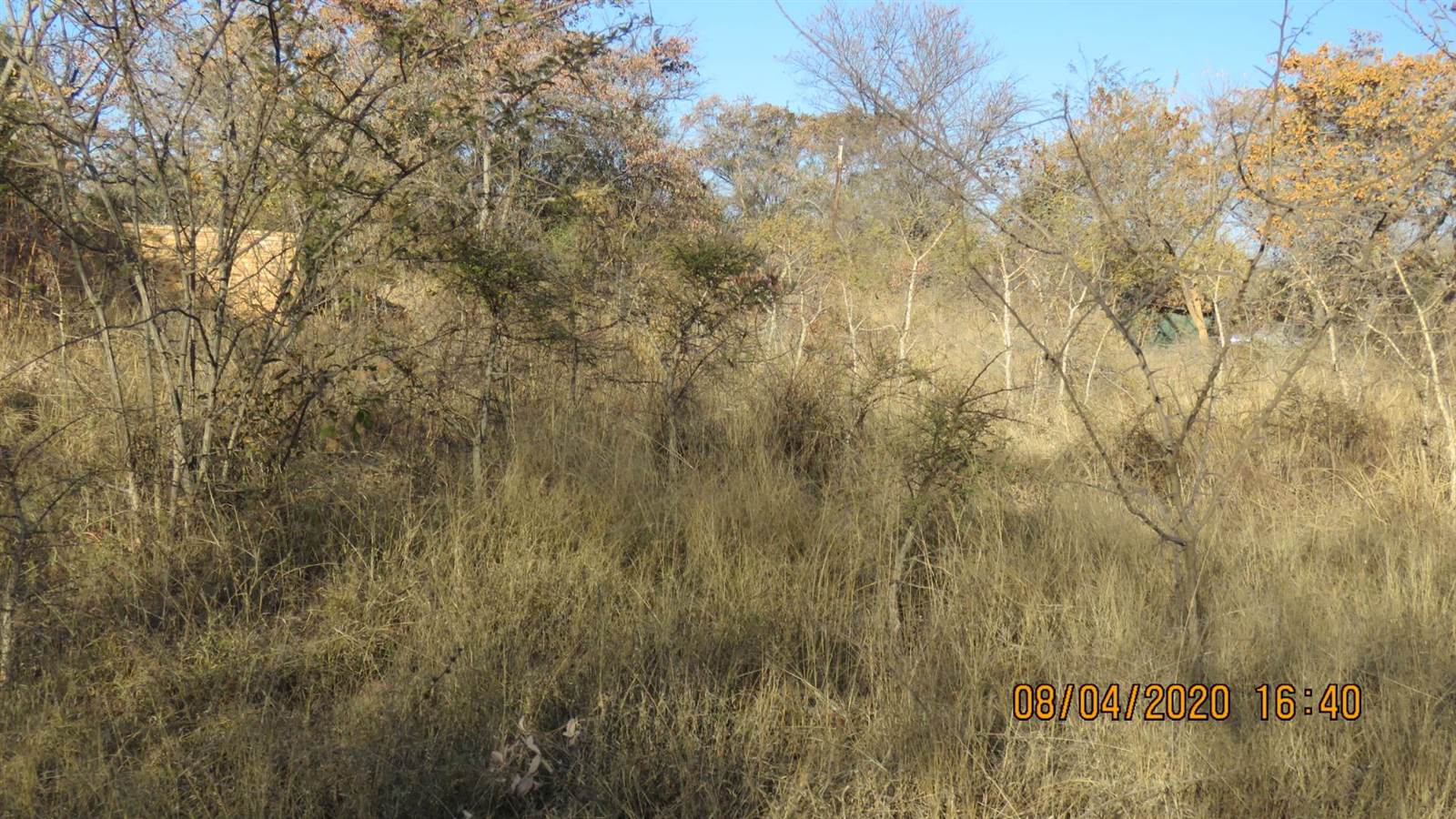 1100 m² Land available in Vaalwater photo number 6