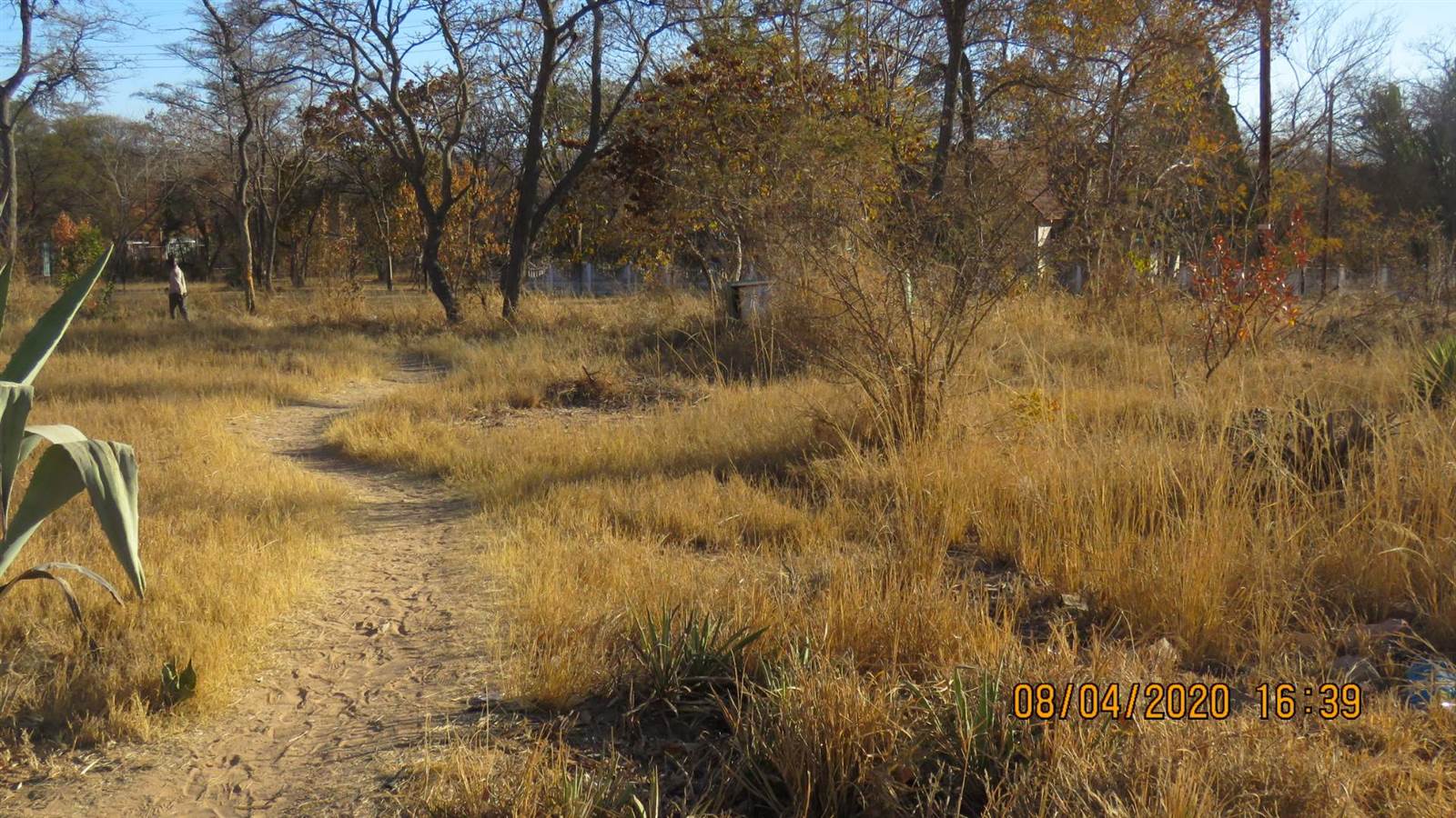 1100 m² Land available in Vaalwater photo number 3