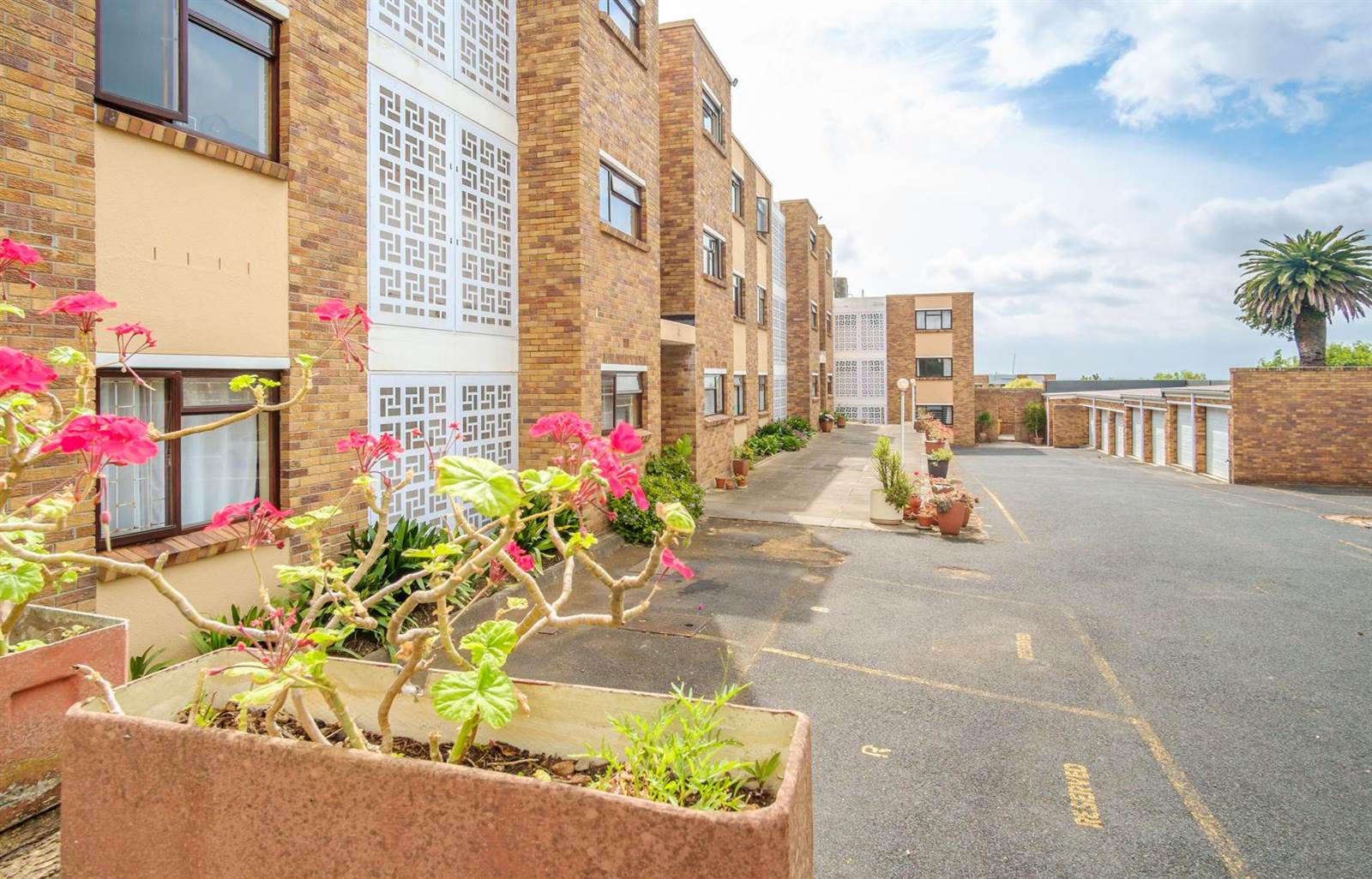 3 Bed Apartment in Wynberg Upper photo number 16