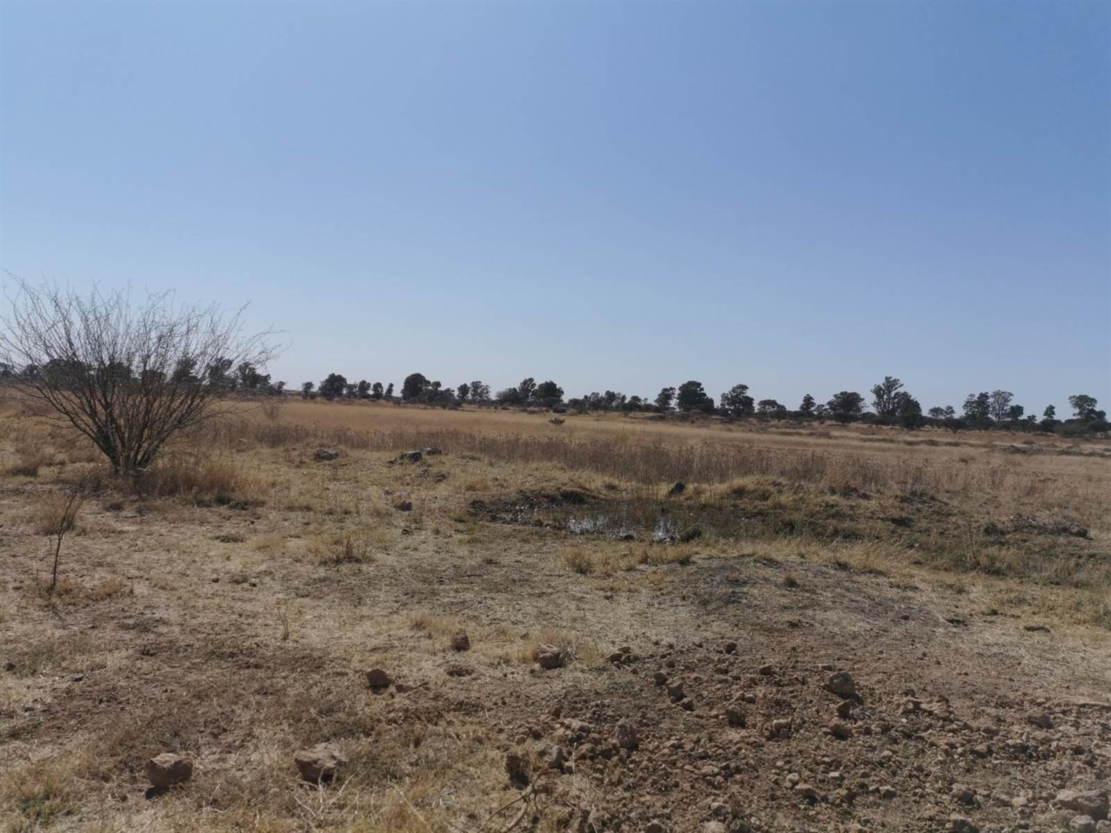 2 ha Land available in Kimdustria photo number 11
