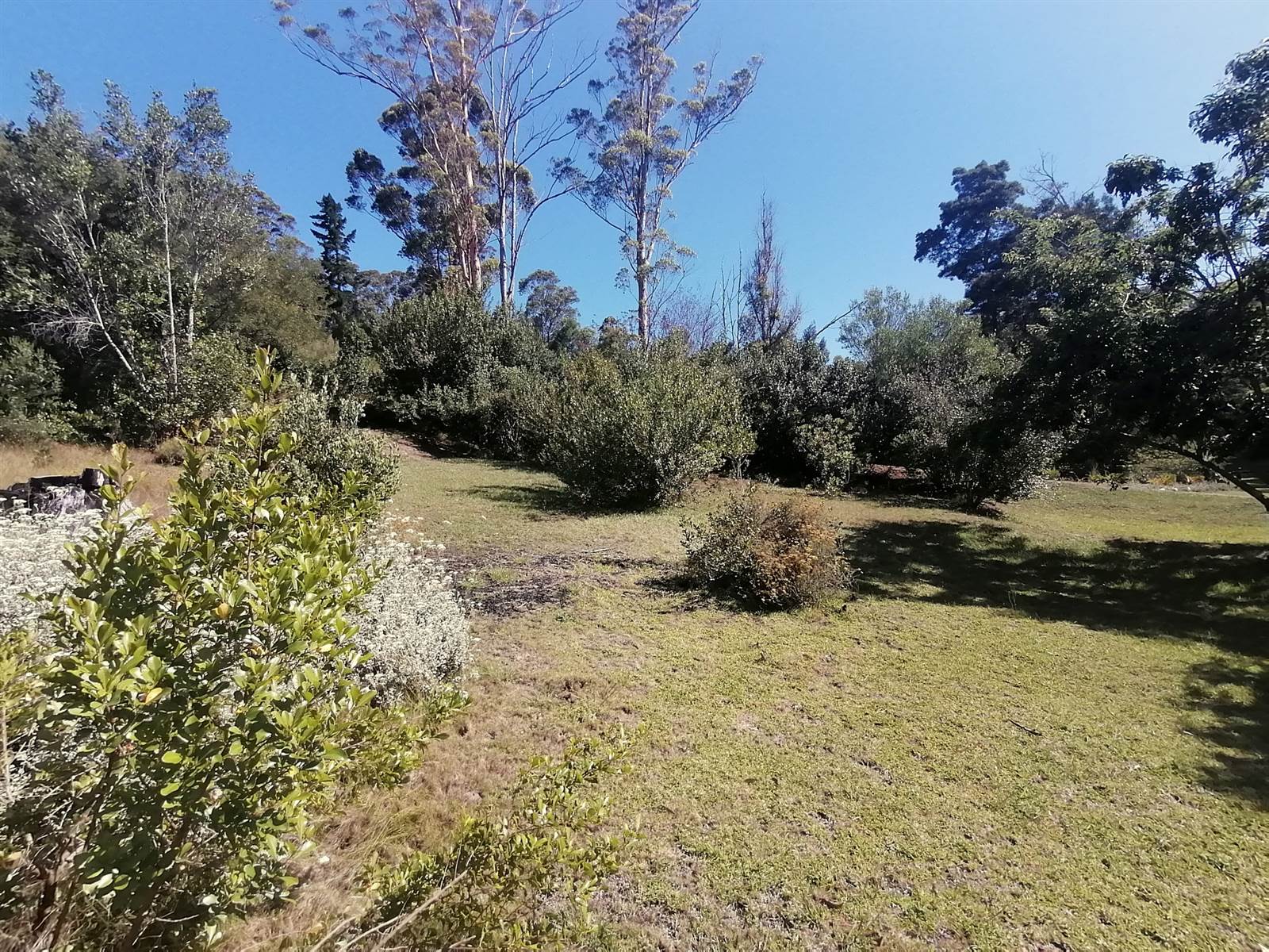 1200 m² Land available in Phantom River View photo number 3