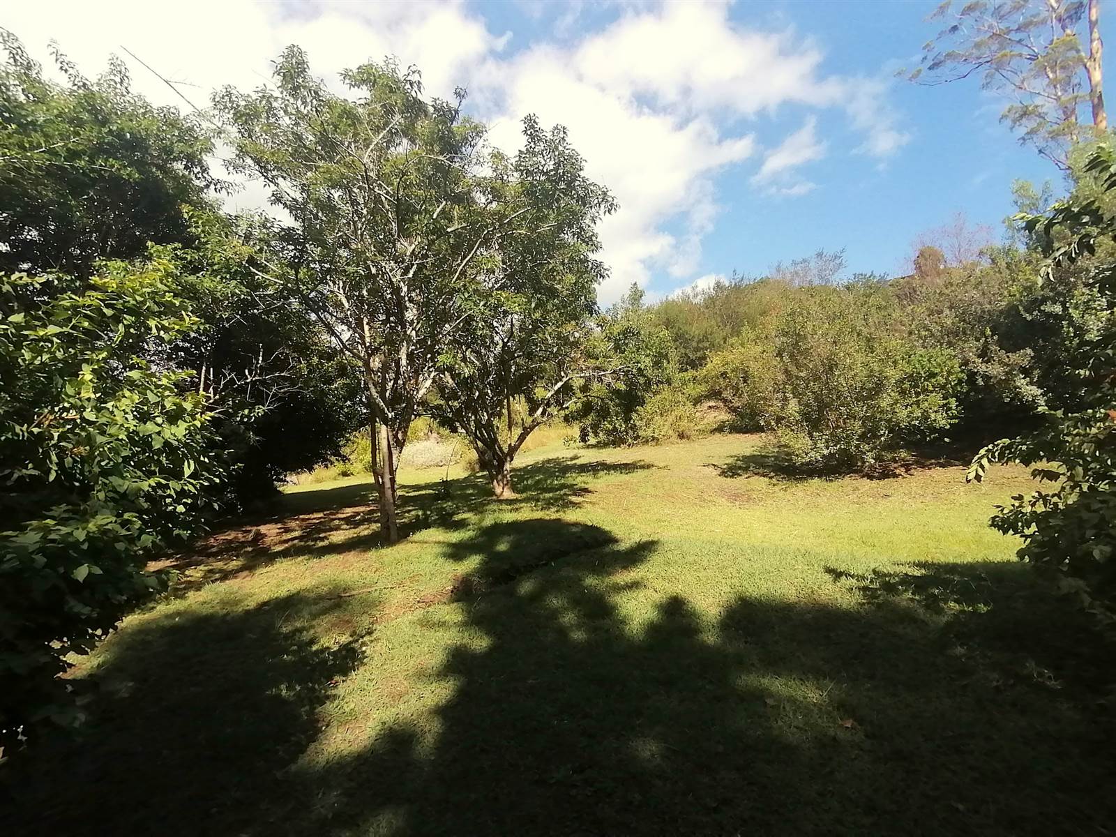 1200 m² Land available in Phantom River View photo number 11