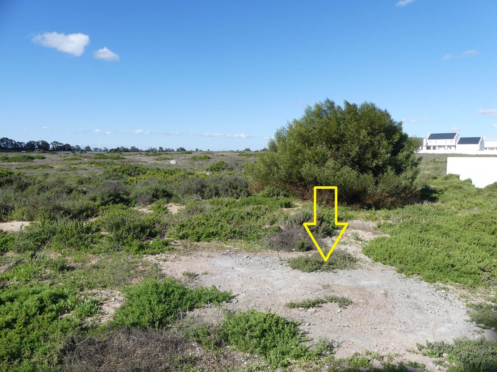 501 m² Land available in Lampiesbaai photo number 6