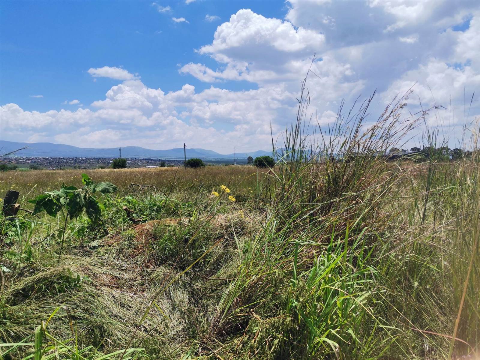 2006 m² Land available in Lydenburg photo number 2
