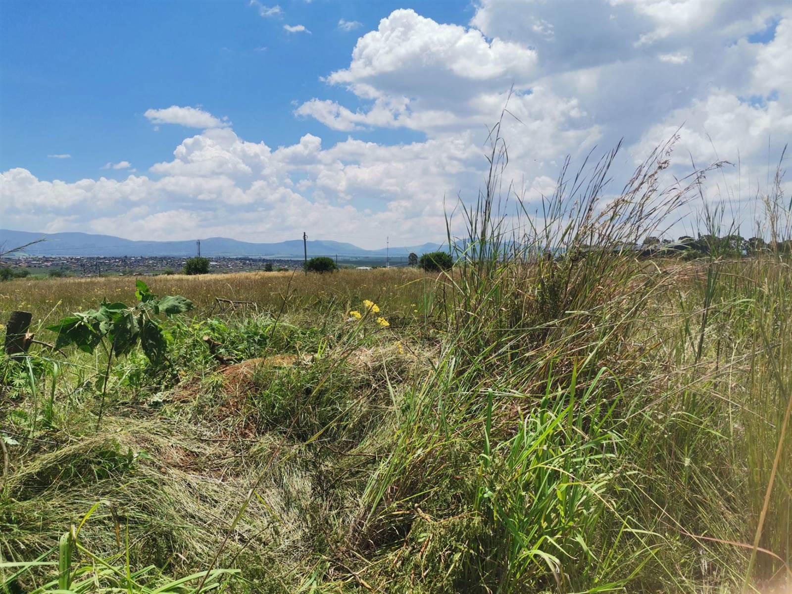 2006 m² Land available in Lydenburg photo number 1
