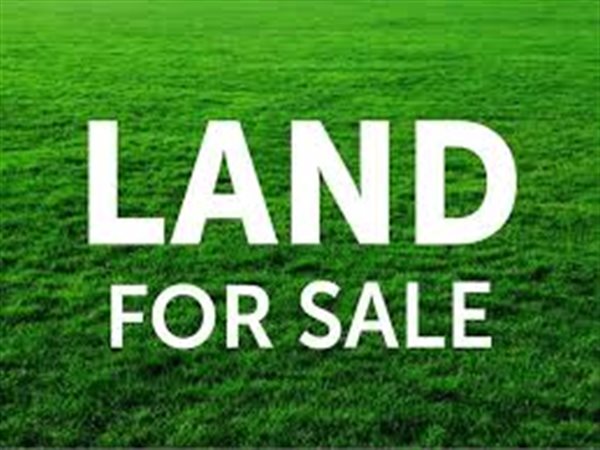 21.4 ha Land available in Mnandi AH
