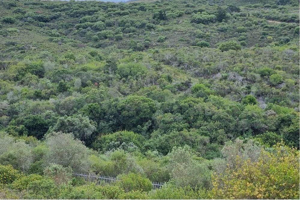 834 m² Land available in Great Brak River photo number 9
