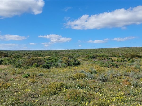 2.1 ha Land available in Jacobsbaai
