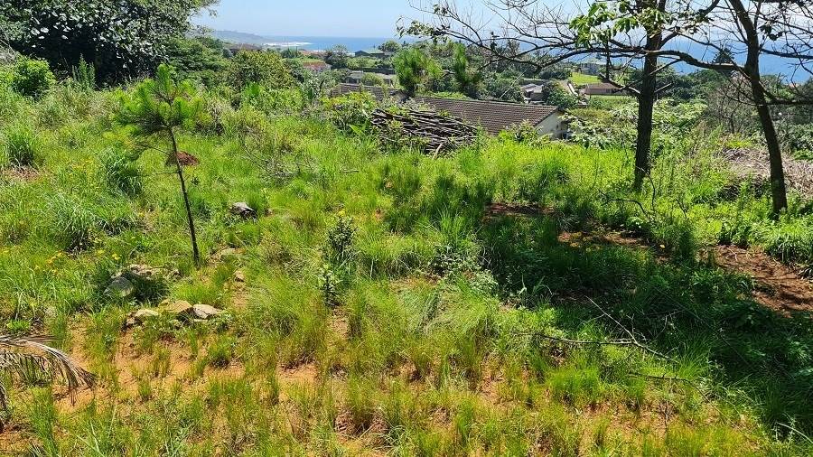 1256 m² Land available in Hibberdene photo number 12