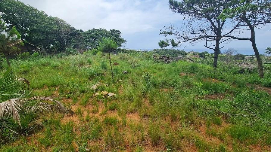 1256 m² Land available in Hibberdene photo number 9