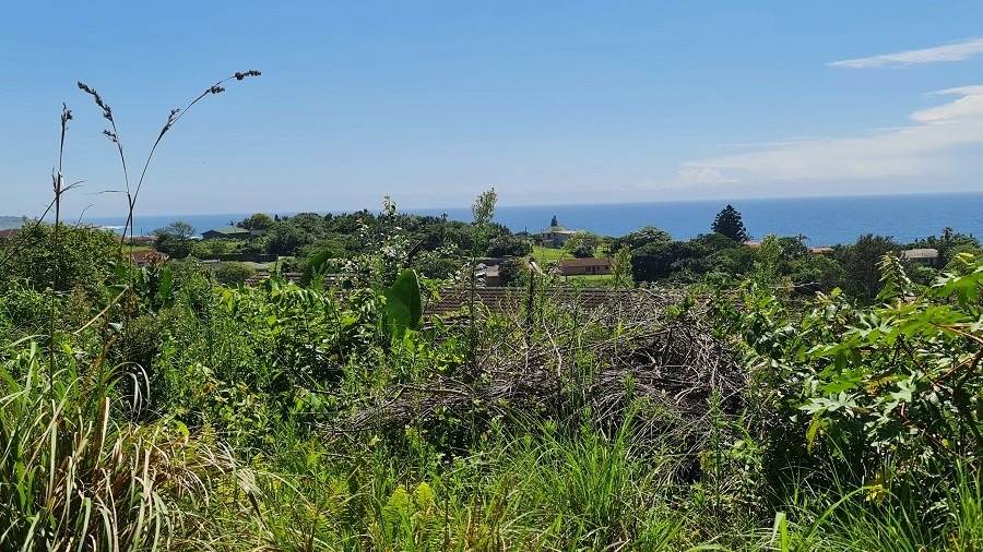 1256 m² Land available in Hibberdene photo number 7