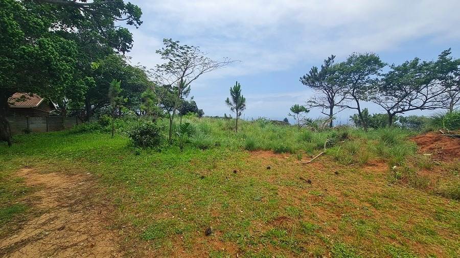 1256 m² Land available in Hibberdene photo number 4