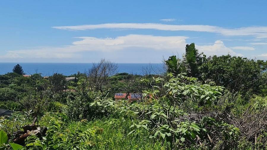 1256 m² Land available in Hibberdene photo number 6