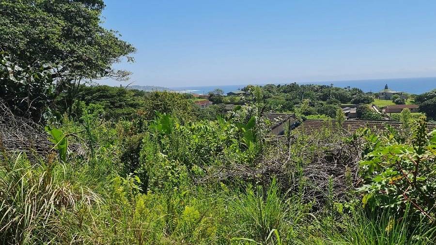1256 m² Land available in Hibberdene photo number 3