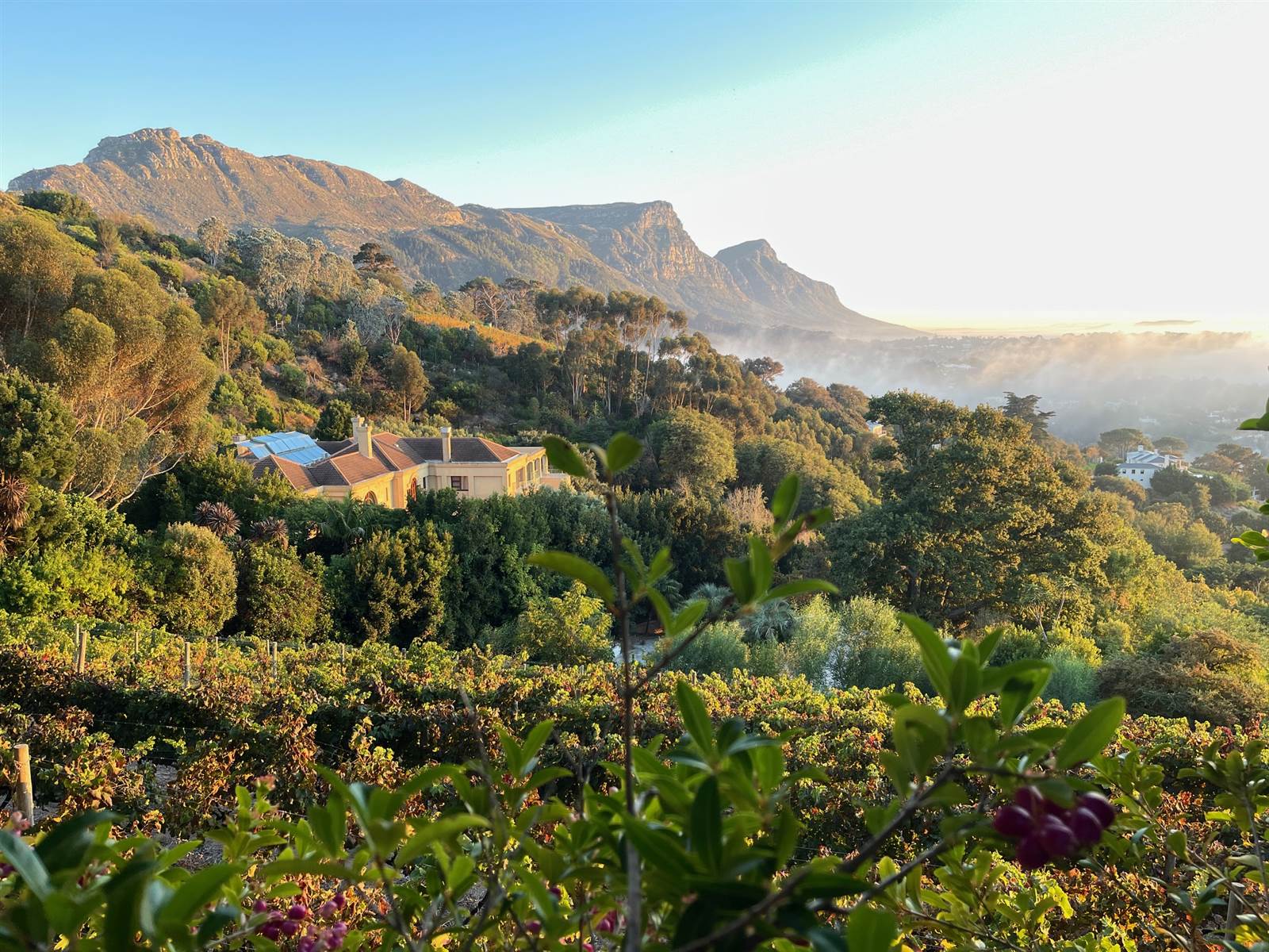 4081 m² Land available in Constantia photo number 5