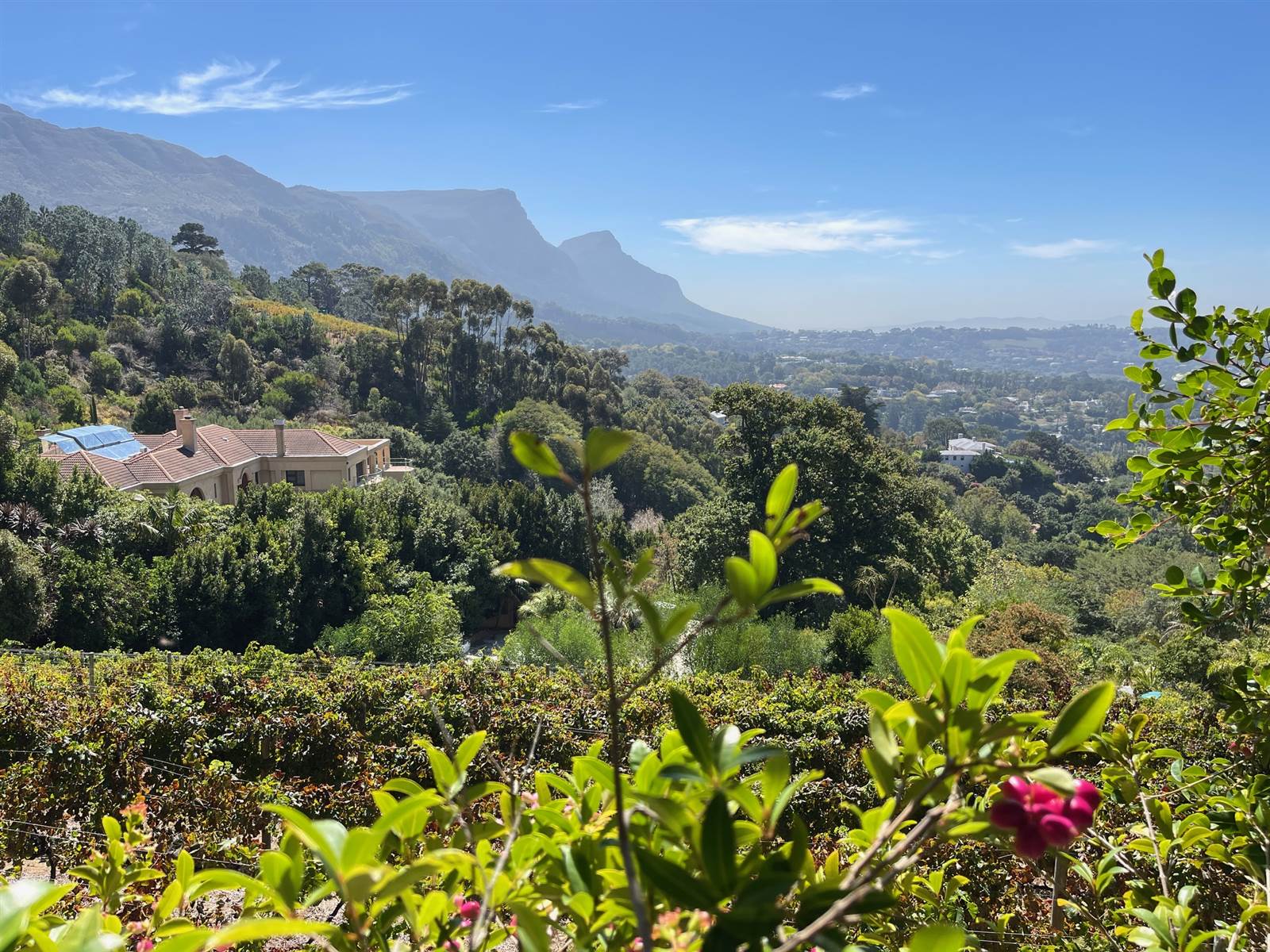 4081 m² Land available in Constantia photo number 2