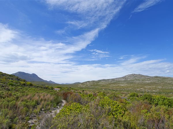 1127 m² Land available in Scarborough