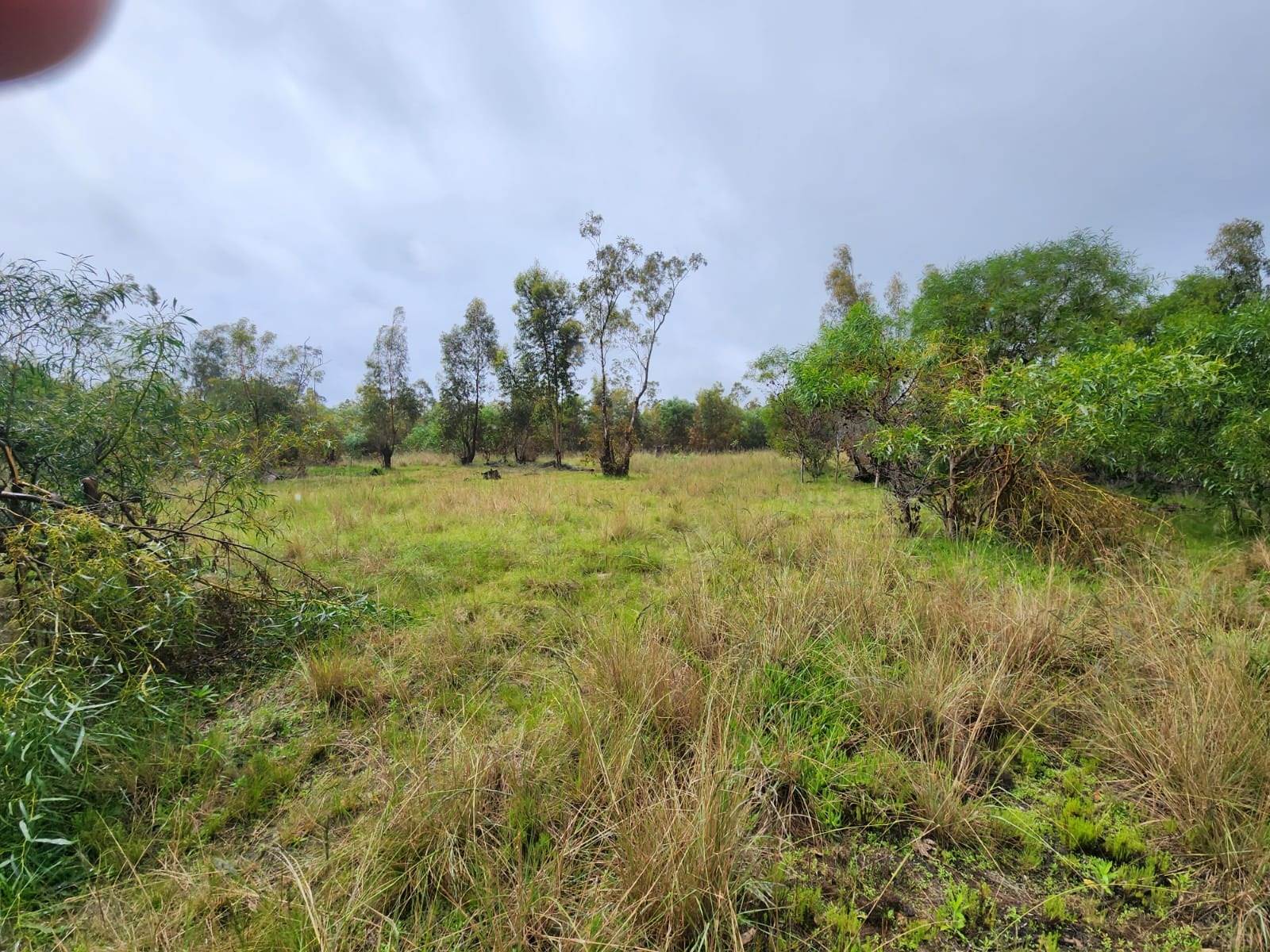 14.7 ha Land available in Uitenhage Rural photo number 2