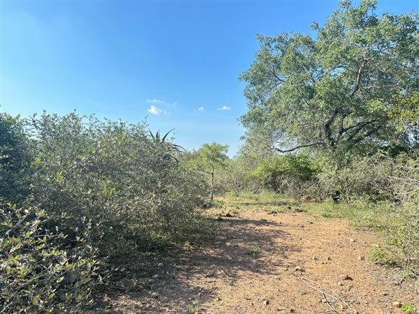1535 m² Land available in Marloth Park