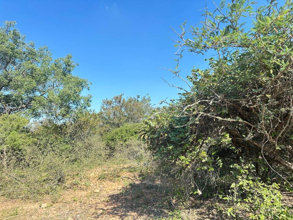 1535 m² Land available in Marloth Park photo number 12