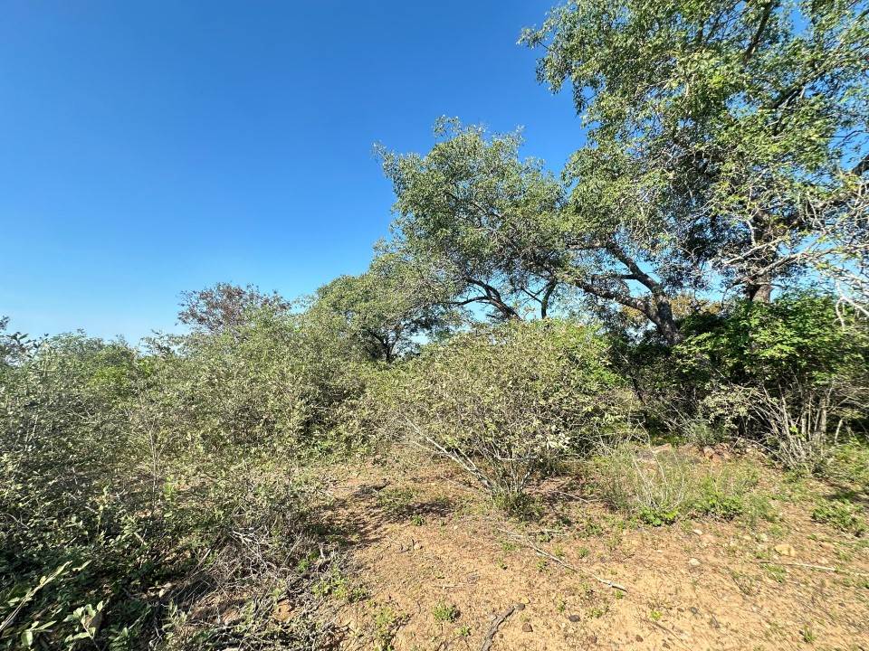 1535 m² Land available in Marloth Park photo number 2