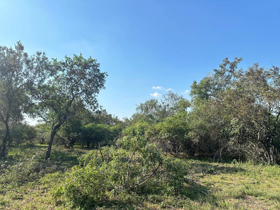 1535 m² Land available in Marloth Park photo number 11