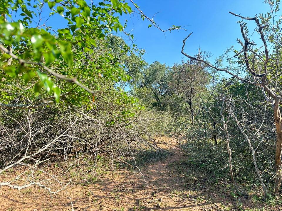 1535 m² Land available in Marloth Park photo number 5
