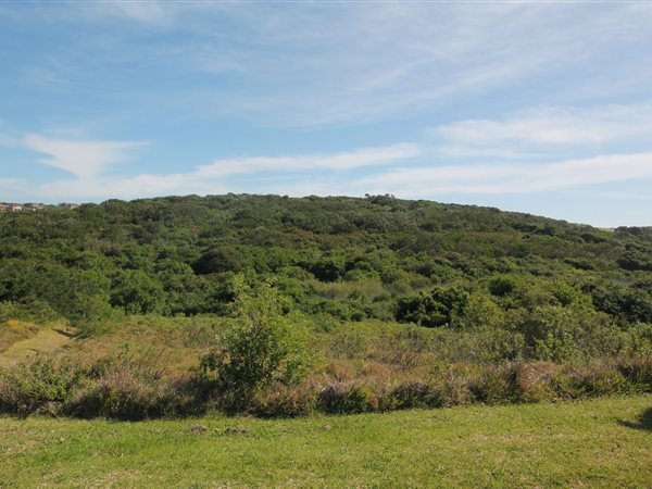 1238 m² Land available in Forest Downs