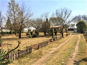 1.5 ha Farm in Vischkuil